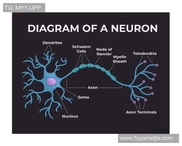 布莱克尼的神秘旅程探索未知与发现的奇妙世界