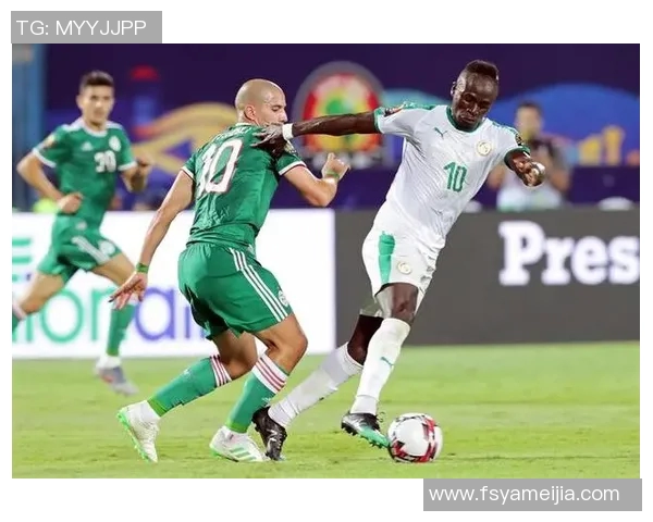 非洲杯精彩对决马里与几内亚激战正酣期待精彩瞬间