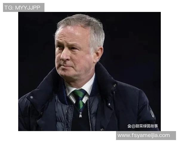 德国与北爱尔兰激战回顾比分揭晓精彩瞬间分析