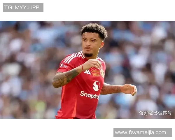 桑乔的崛起与挑战：从天才少年到足球舞台上的璀璨明星之路